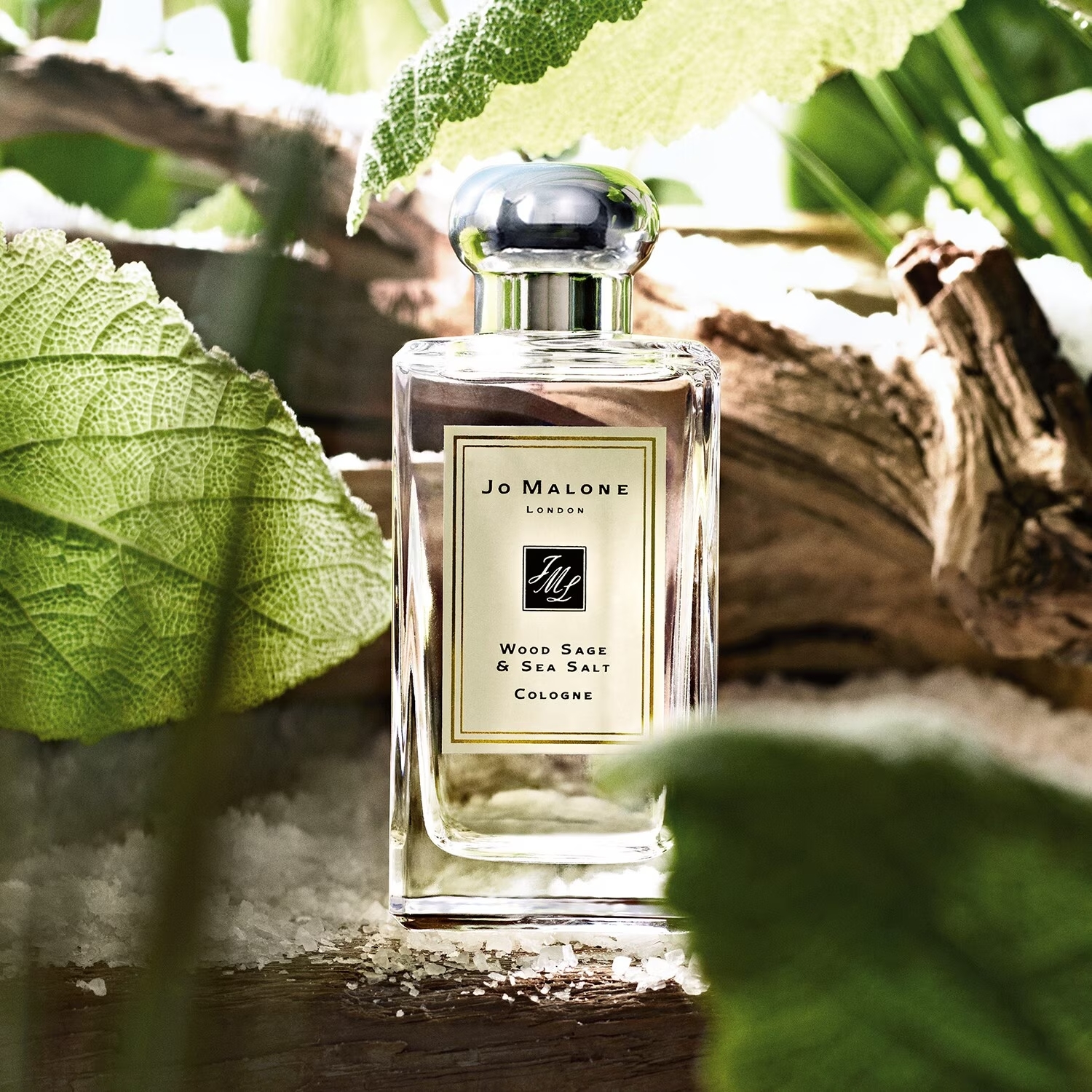 Wood Sage &#038; Sea Salt Cologne Jo Malone : un parfum frais et boisé, avec des notes aquatiques et terrestres qui se complètent parfaitement