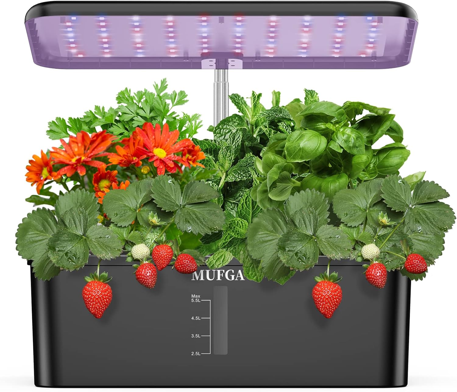 MUFGA Herb Garden Hydroponics Growing System